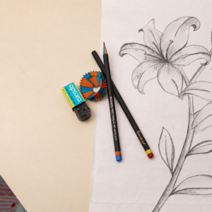 Apsara Extra Dark Pencil
